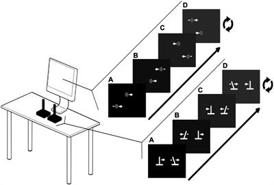 The Ecological Task Dynamics of Learning and Transfer in Coordinated Rhythmic Movement